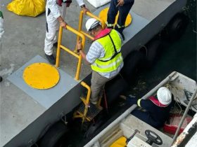 Inspecciones Marítimas – Ships Surveys 1