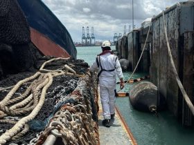 Inspecciones Marítimas – Ships Surveys 3