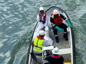 Inspecciones Marítimas – Ships Surveys 4