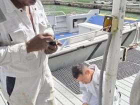 Reparaciones Eléctricas para Embarcaciones