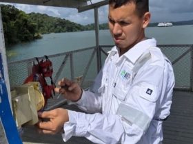 Reparaciones Eléctricas para Embarcaciones 7